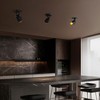 Aisilan Black and Gold LED Dimmable Directional Ceiling Spotlight Indoor