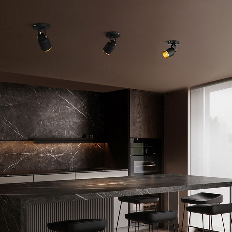 Aisilan Black and Gold LED Dimmable Directional Ceiling Spotlight Indoor