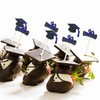 300 Pcs Graduation Cocktail Picks 4.7 Inch Bachelor Hat Bamboo