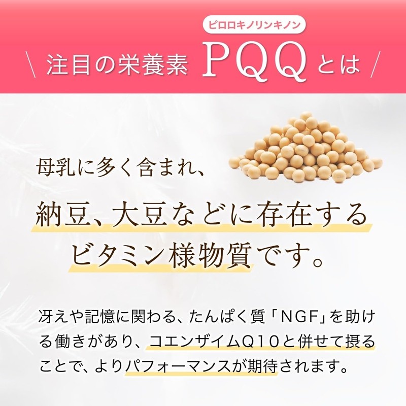 PQQ + CoQ10 120粒 三菱ガス化学 BIOPQQ原料使用(2)