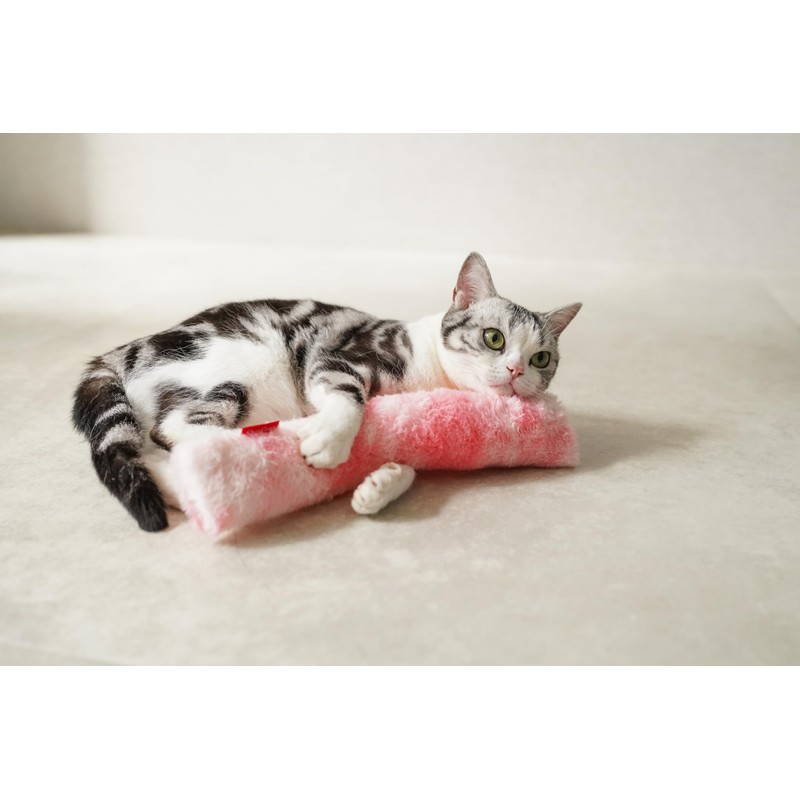Mofu Kerikiri Strawberry Shake