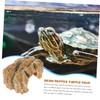 HANABASS Realistic Turtle Basking Platform Miniature Landscape for Hermit Crabs