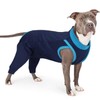 PUMYPOREITY Dog Surgery Suit, Post Op Dog Recovery Suit Dog