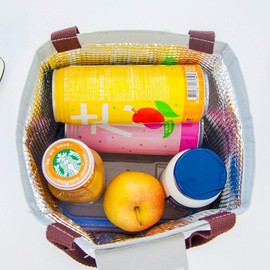 Dubens Women's Picnic Bag Tote Cool Bag Waterproof Lightweight Picnic Bag Lunch Insulated Bag Thermal Bag for Work and School Rosa Flamingo