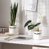TwoDays Off-White Inspired Sneaker Planter, Hypebeast Room Decor, Small 5