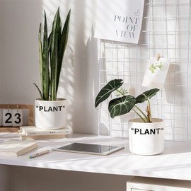 TwoDays Off-White Inspired Sneaker Planter, Hypebeast Room Decor, Small 5 Inch Cylinder White Plastic Indoor Plant Pot with Built in Drainage Hole, Mini Flower Pot, Sneakerhead Gift.