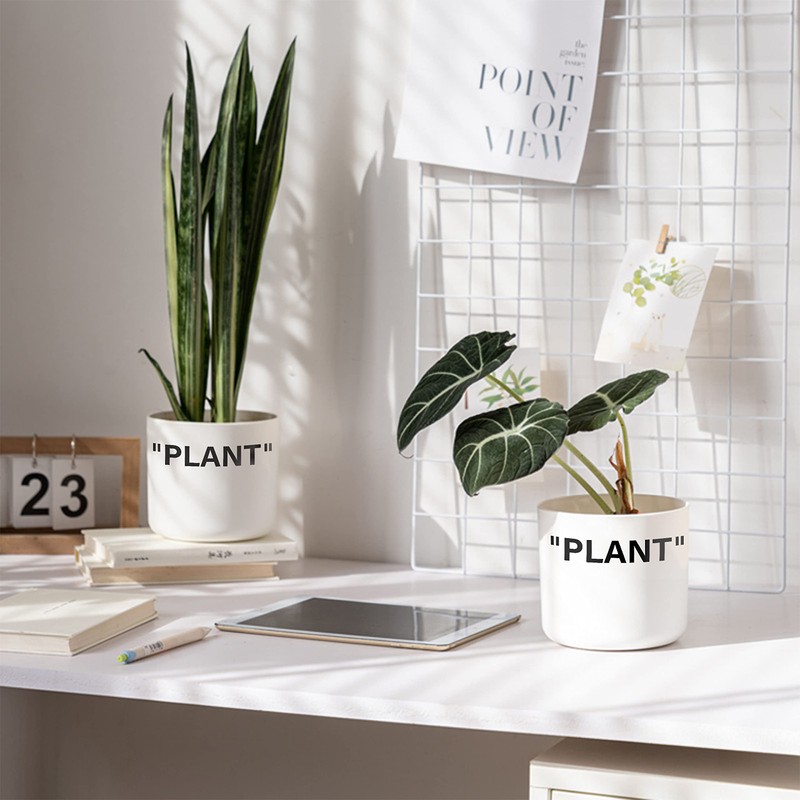 TwoDays Off-White Inspired Sneaker Planter, Hypebeast Room Decor, Small 5