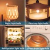 Anivona Night Light Bulb,[4PACK]15 Watt LED Night Light Bulb Equivalent,