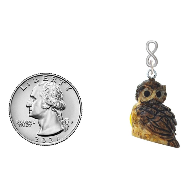 Delight Jewelry Resin Sitting Owl Silvertone Infinity Post Earrings