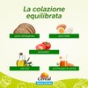 CÉRÉAL PAN CAMPAGNOLO INTEGRALE, Pane senza glutine e lattosio, Con