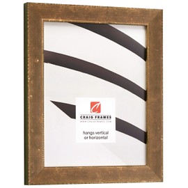 Craig Frames Patina 125 Picture Frame, 18 x 24 Inch, Distressed Copper and Black