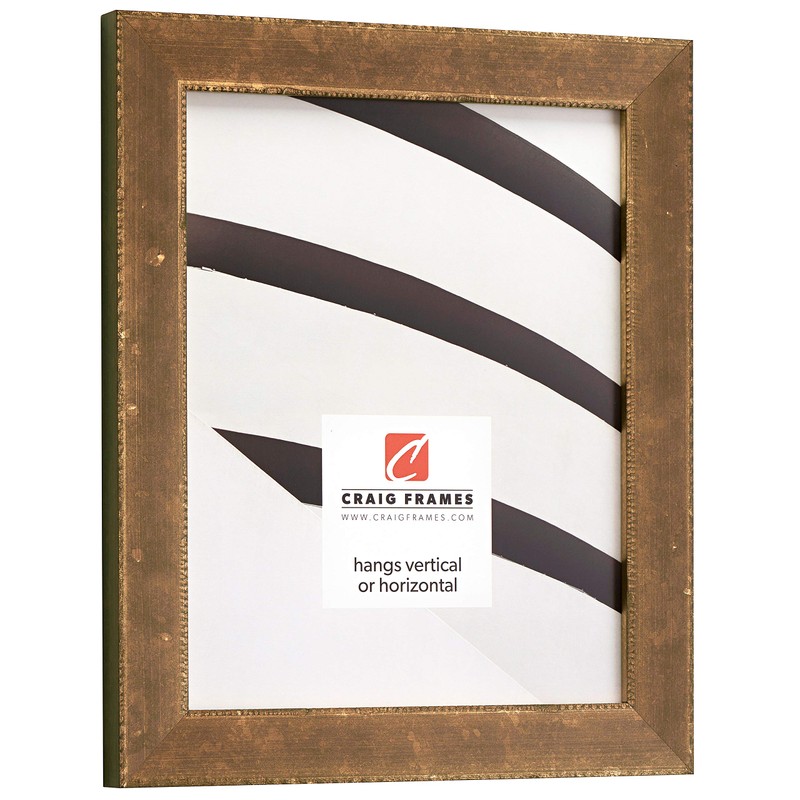 Craig Frames Patina 125 Picture Frame, 18 x 24 Inch,