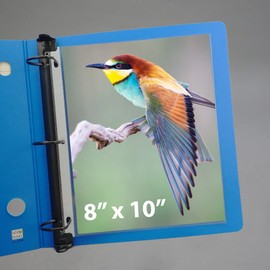 8x10 Photo Page Sleeves Acid Free Heavyweight Quality Protectors for 3-Ring Binders. 8x10 Photo Sleeve Refills, 50 Sheets (1 Pack) by Keepfiling
