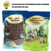 Doter Succulent & Cactus Soil Potting Mix 1qt, Chunky Dirt