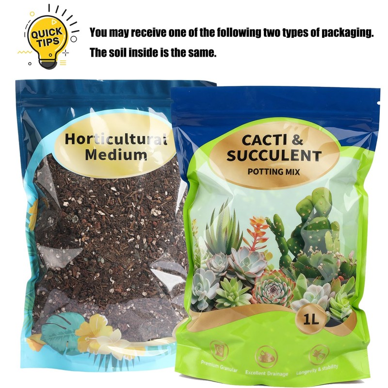 Doter Succulent & Cactus Soil Potting Mix 1qt, Chunky Dirt