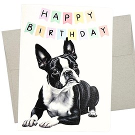 Boston Terrier Birthday Card, Dog Birthday Card (1 Premium Folded Card, Blank Inside, 5X7 Inch) cute birthday card from dog for men and women - 850