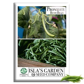 Provider Bush Green Bean Seeds (Phaseolus vulgaris) – 30+ Non-GMO Heirloom by Isla’s Garden, Early Harvest Variety with Tender Pods, Ideal for Raised Beds, Rows & Backyard Growing