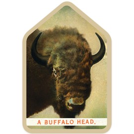 Die Cut Sticker Yellowstone National Park, Wyoming, View of a Buffalo Head, Vinyl Sticker 3 to 6 inches, (Waterproof Decal for Cars, Water Bottles, Laptops, Coolers), Large
