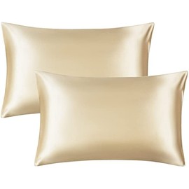 Silky Pillowcases Set for Hair - Pillowcase Covers with Envelope Closure - Cool and Easy to Wash - Pillowcase Set of 2 - Pillow Cover Only Without Insert (Champagne, Queen(20"x30"))
