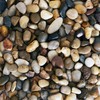 2 lbs Approx. 200 River Rocks Stones for Plants Pebbles