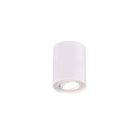 Trio Leuchten Cookie 612900131 Ceiling Light Metal White Matt Excludes 1x GU10