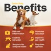 Charlie Buddy - Hеmp Oil for Dogs Cats - Hip