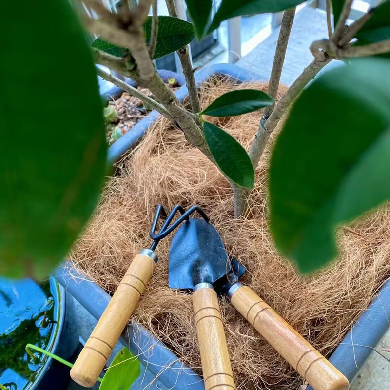Natural Organic Coconut Husk Silk, Pure Coconut Shell Fiber Orchid