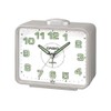 Casio Collection Wake Up Timer Analog Alarm Clock-TQ-218-8EF, Grey