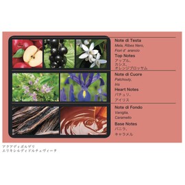 Dr. Taffi Acqua di Bolgheri Elisir Di Dolce Vita Fluid Body Lotion 300 ml