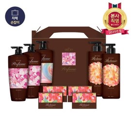 LG Household & Health Care Premium Shampoo & Body No. Q (B4) x 1 / 샴푸바디프리미엄 Q호(B4)x1개