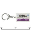 JR nishinihon 嵯峨野線 "嵯峨 嵐山" Key Holder Train Goods