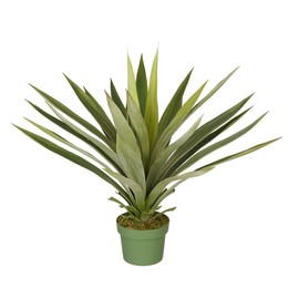 House of Silk Flowers Artificial Large Yucca Plant