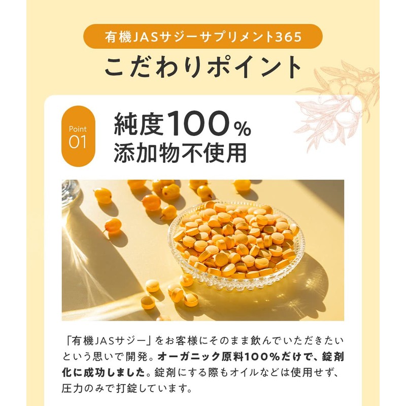 サジー サプリ 有機JAS オーガニック 鉄分 無添加 濃縮 サジー粉末 100% サプリメント