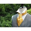 HISDERN Yellow Ascot Tie Mens Formal Cravat Ties Floral Paisley
