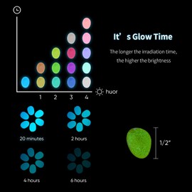 Danghey 900 Pieces Glow in The Dark Rocks Glowing Stones 1/2 Inch Decor Pebble Stones for Garden, Walkway, Potted Plant, Flower Bed, Fish Tank Aquarium (Assorted Colors)