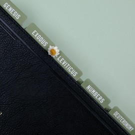 UPAFEXXI-Laminated Bible Tabs, Bible Tabs for Women and Men, Reposition Large Print Stickers, Easy to Read and Apply, 80Chapters Labels for Easy Navigation(Green)