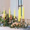 20pcs 4-inch Taper Candles Smokeless Long Burning Candles for Daily,