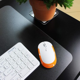 Floortex Desktex Polycarbonate Anti-Slip Desk Pad Protection Mat 17" x 22", Clear (FPDE1722RA)