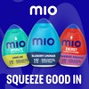 Mio Liquid Water Enhancer, Blueberry Lemonade, 1.62 OZ, 12-Pack