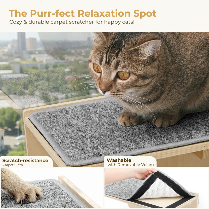 Pecute 2-in-1 Cat Window Perch & Wall Shelves, Cat Hammock