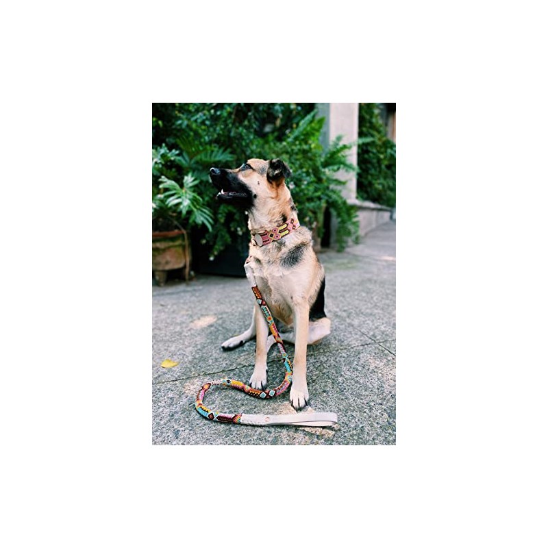 Dakini Correa Artesanal para Perro con Acabados de Lujo. Extra