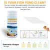 MiOYOOW Aquarium Ammonia Test Kit, 50 Counts Ammonia Test Strips,