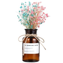 Ericotry 500ML/16.7OZ Decorative Glass Bottles Amber Glass Vase Bud Vases Apothecary Jars Vintage Glass Flower Vases with Creative Rope Design for Home Decor