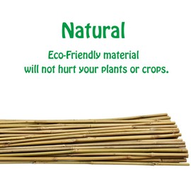 Mininfa Natural Bamboo Stakes 5 Feet, Eco-Friendly Garden Stakes, Plant Stakes Supports Climbing for Tomatoes, Trees, Beans, 20 Pack