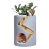 Generic Plantas Macetas Regalo Creativo Maceta Suculenta Escritorio
