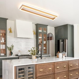 Vloitgol Dimmable Led Ceiling Light with Remote Control 31.5in Modern Linear Flush Mount Ceiling Lighting Fixture Acrylic Long Ceiling Lamp for Living Room Kitchen Dining Room Hallway (Gold)