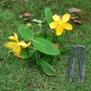 MySit 6" Garden Staples Landscape Stakes Ground Pins 100 Pack,