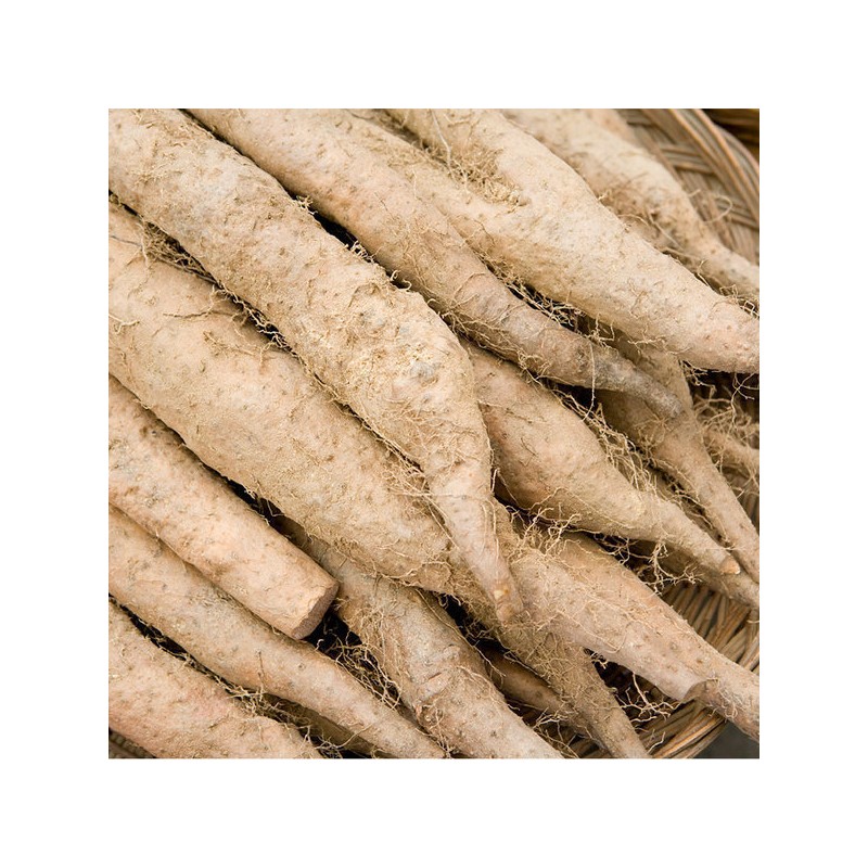 Yam Powder 100% Domestic Yam Yam Sanyak Powder Powder 500g/3