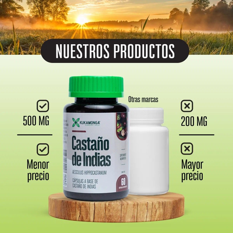 Castao De Indias Kalanchoe 60 Cps Bienestar De Piernas Sin