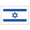 PremiumTT Large Israel Flag Tattoos - Waterproof, Multicolor, 8 Pieces